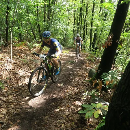 La Casa Del Movimento Lento *