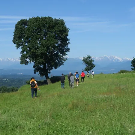 La Casa Del Movimento Lento Oda ve Kahvaltı *