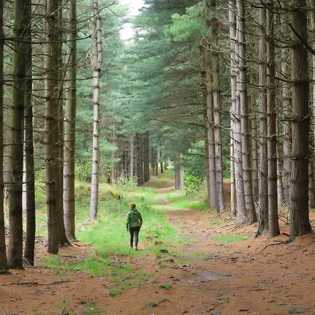 La Casa Del Movimento Lento * Roppolo