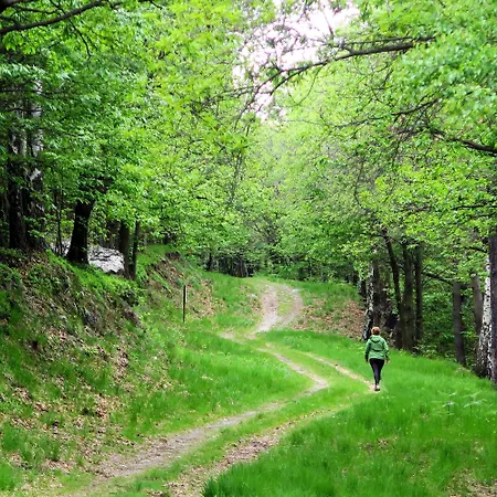La Casa Del Movimento Lento Oda ve Kahvaltı *