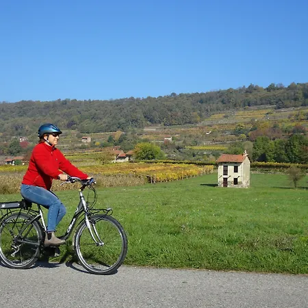 La Casa Del Movimento Lento Oda ve Kahvaltı