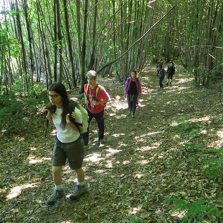 Oda ve Kahvaltı La Casa Del Movimento Lento Roppolo