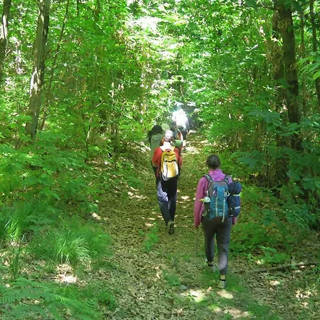 La Casa Del Movimento Lento * Roppolo