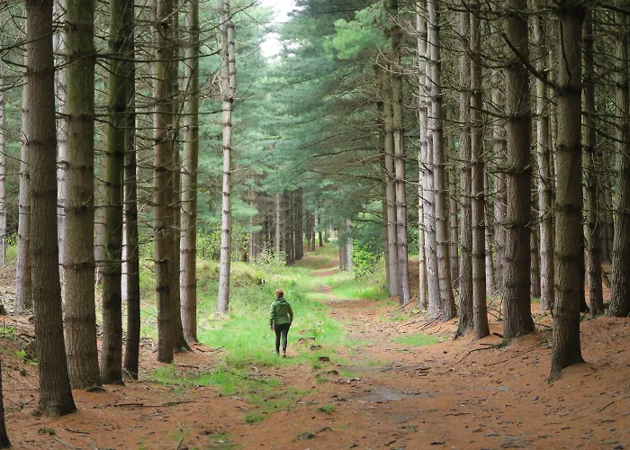 La Casa Del Movimento Lento * Roppolo